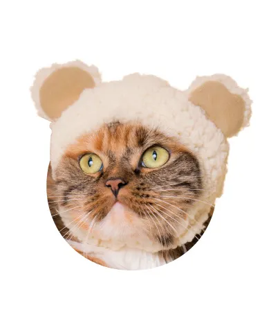 かわいい かわいい ねこくまちゃん ラインナップ 6