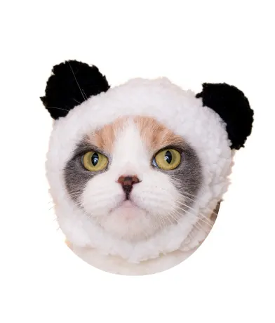 かわいい かわいい ねこくまちゃん ラインナップ 7