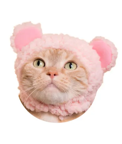 かわいい かわいい ねこくまちゃん 〜パステルカラー〜 ラインナップ 2