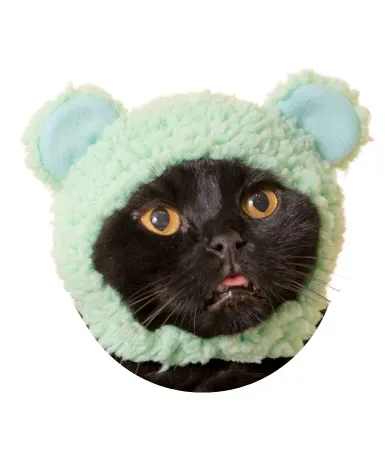 かわいい かわいい ねこくまちゃん 〜パステルカラー〜 ラインナップ 3