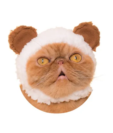 かわいい かわいい ねこくまちゃん 〜パステルカラー〜 ラインナップ 4