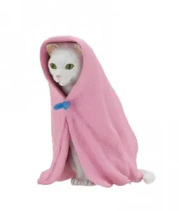 ねこくるみ ラインナップ 2