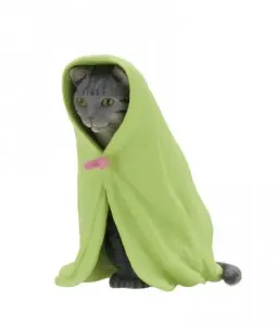 ねこくるみ ラインナップ 6