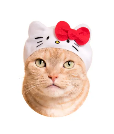 かわいい かわいい ねこのかぶりもの サンリオキャラクターズ ラインナップ 2