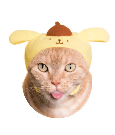 かわいい かわいい ねこのかぶりもの サンリオキャラクターズ ラインナップ 3
