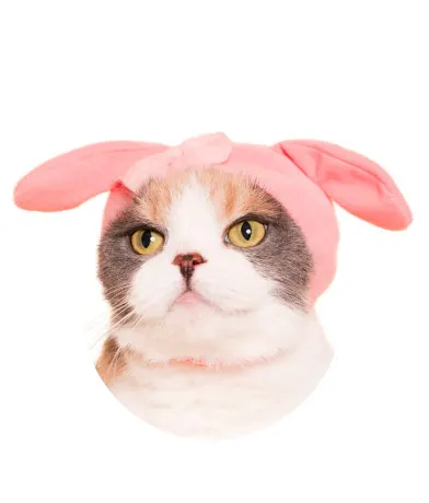 かわいい かわいい ねこのかぶりもの サンリオキャラクターズ ラインナップ 5