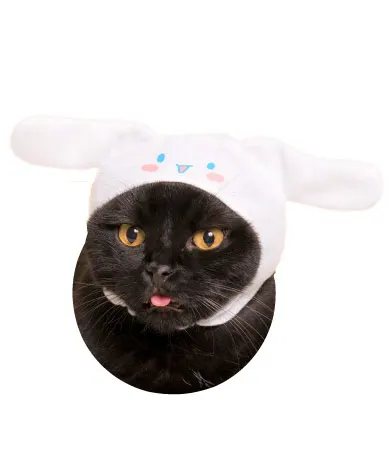 かわいい かわいい ねこのかぶりもの サンリオキャラクターズ ラインナップ 6