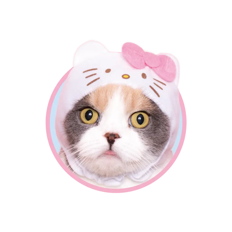 かわいい かわいい ねこのかぶりもの サンリオキャラクターズ2 ラインナップ 3