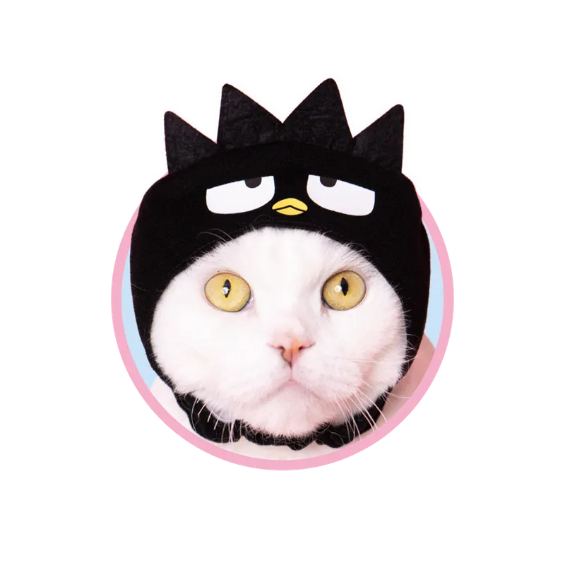 かわいい かわいい ねこのかぶりもの サンリオキャラクターズ2 ラインナップ 4