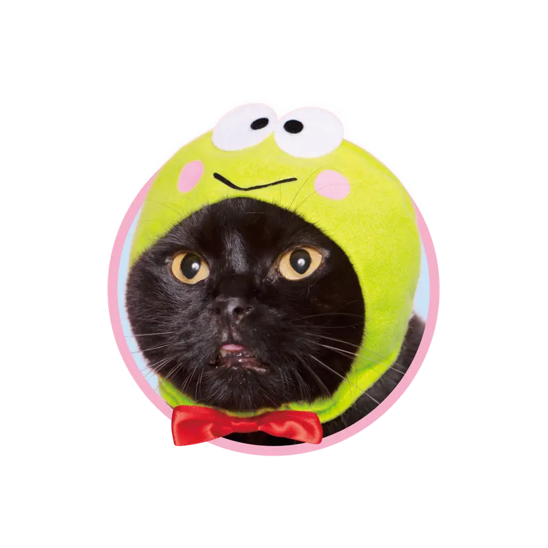 かわいい かわいい ねこのかぶりもの サンリオキャラクターズ2 ラインナップ 6