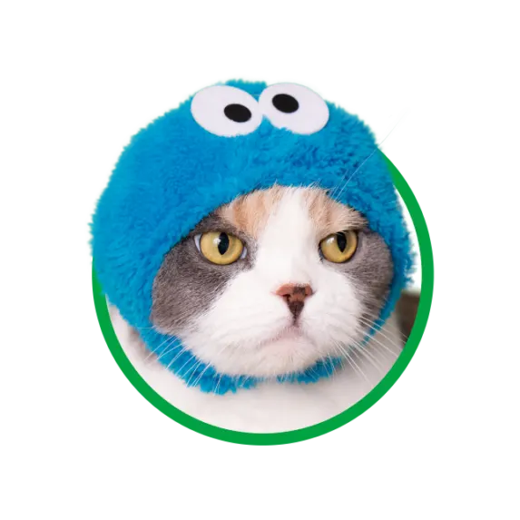 かわいい かわいい ねこのかぶりもの セサミストリート ラインナップ 3