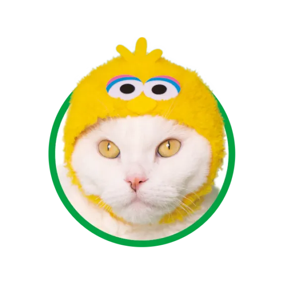 かわいい かわいい ねこのかぶりもの セサミストリート ラインナップ 4