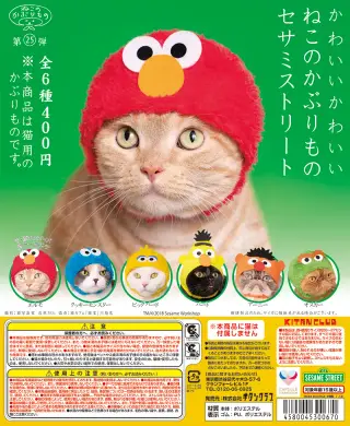かわいい かわいい ねこのかぶりもの セサミストリートの画像