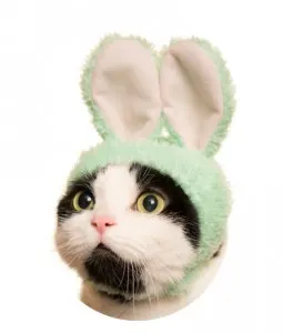 かわいい かわいい ねこうさぎちゃん 〜スイーツカラー〜 ラインナップ 3