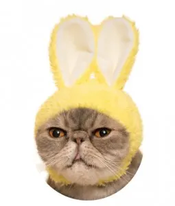 かわいい かわいい ねこうさぎちゃん 〜スイーツカラー〜 ラインナップ 5