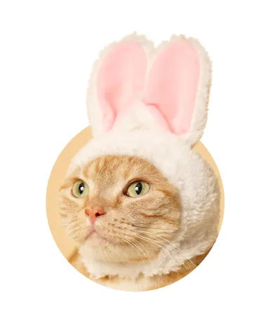 かわいい かわいい ねこうさぎちゃん ラインナップ 2