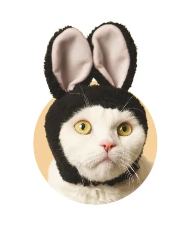 かわいい かわいい ねこうさぎちゃん ラインナップ 3