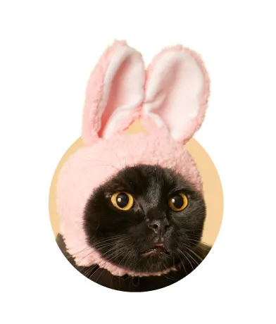 かわいい かわいい ねこうさぎちゃん ラインナップ 4
