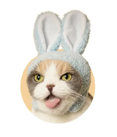 かわいい かわいい ねこうさぎちゃん ラインナップ 5