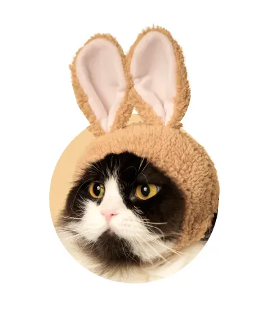 かわいい かわいい ねこうさぎちゃん ラインナップ 6
