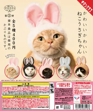 かわいい かわいい ねこうさぎちゃんの画像