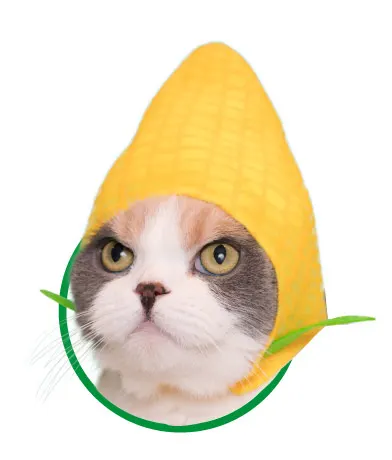 かわいい かわいい ねこ野菜ちゃん ラインナップ 2