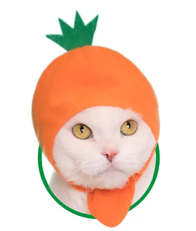 かわいい かわいい ねこ野菜ちゃん ラインナップ 3