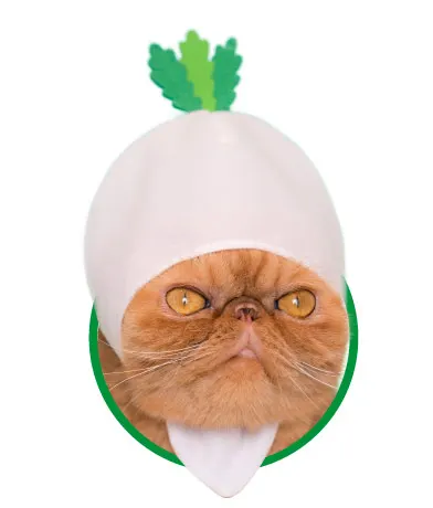 かわいい かわいい ねこ野菜ちゃん ラインナップ 4