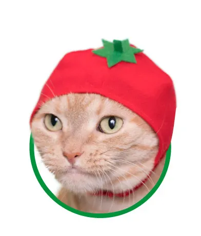 かわいい かわいい ねこ野菜ちゃん ラインナップ 5