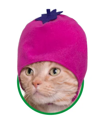 かわいい かわいい ねこ野菜ちゃん ラインナップ 6