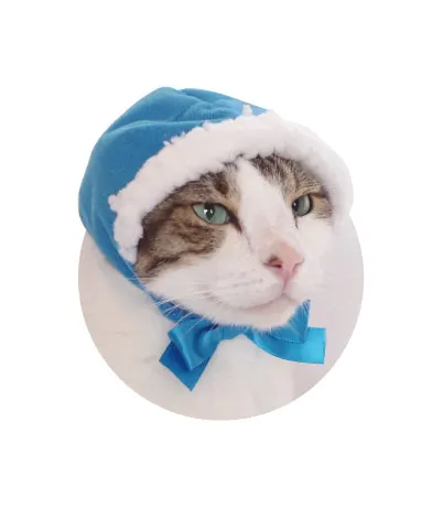 かわいい かわいい ねこずきんちゃん ラインナップ 3