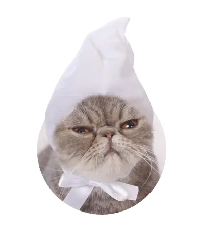 かわいい かわいい ねこずきんちゃん ラインナップ 6