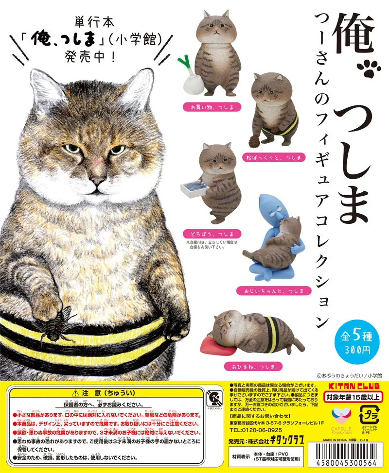 「俺、つしま」つーさんのフィギュアコレクション(画像)