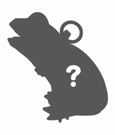 おさんぽカエル Basic 宝石箱♦ ラインナップ 8