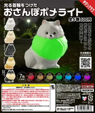 光る首輪をつけた おさんぽポメライトの画像