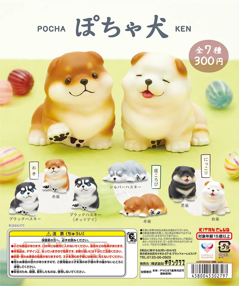 ぽちゃ犬(画像)