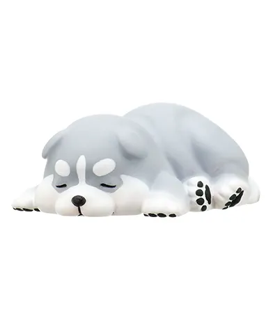 ぽちゃ犬 ラインナップ 8