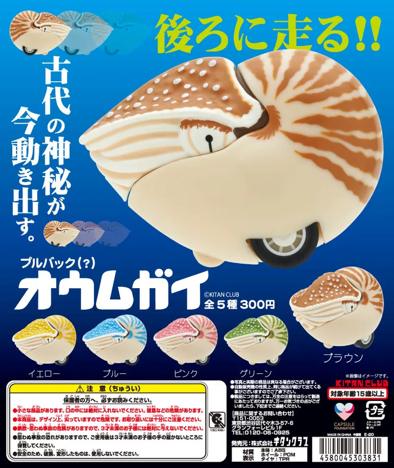 プルバック(?)オウムガイ(画像)