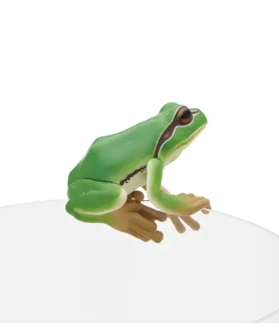 PUTITTO アマガエル ラインナップ 3