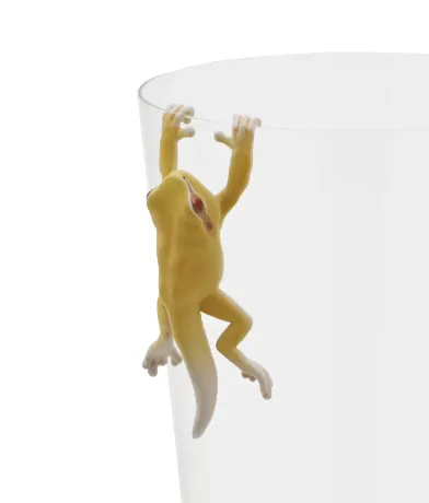 PUTITTO アマガエル ラインナップ 9