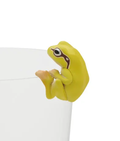 PUTITTO アマガエル レインボー ラインナップ 4