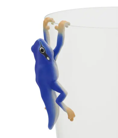 PUTITTO アマガエル レインボー ラインナップ 7