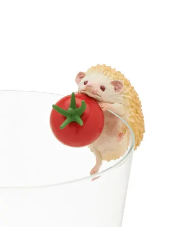 PUTITTO ハリネズミ ラインナップ 4