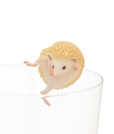 PUTITTO ハリネズミ ラインナップ 8