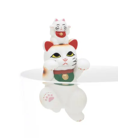 PUTITTO 招き猫 ラインナップ 4