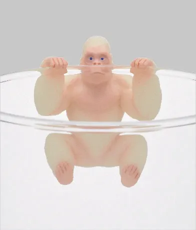 PUTITTO ゴリラ ラインナップ 8