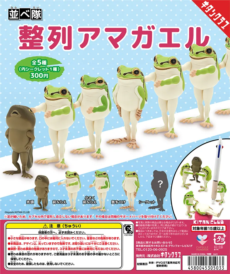 並べ隊 整列アマガエル(画像)