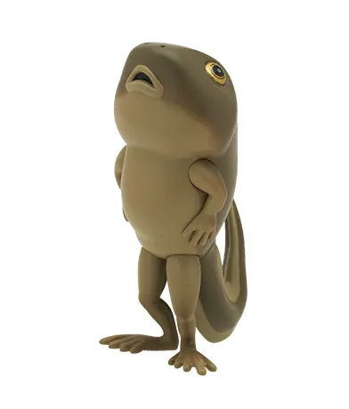 並べ隊 整列アマガエル ラインナップ 2