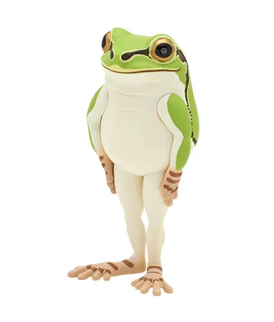 並べ隊 整列アマガエル ラインナップ 5