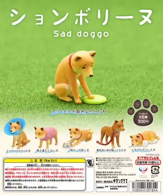 ションボリーヌの画像